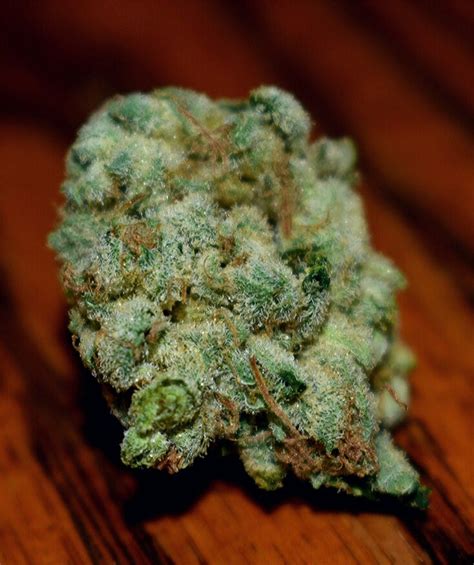 rolls choice|Rolls Choice Marijuana Strain Information & Reviews